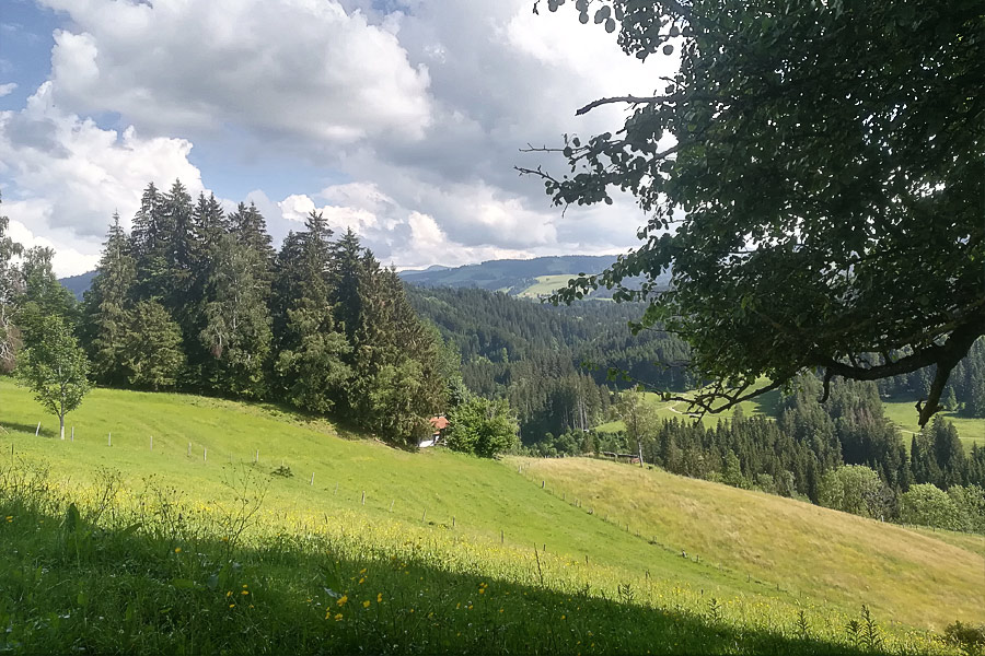 Dekoratives Bild Dekoratives Bild