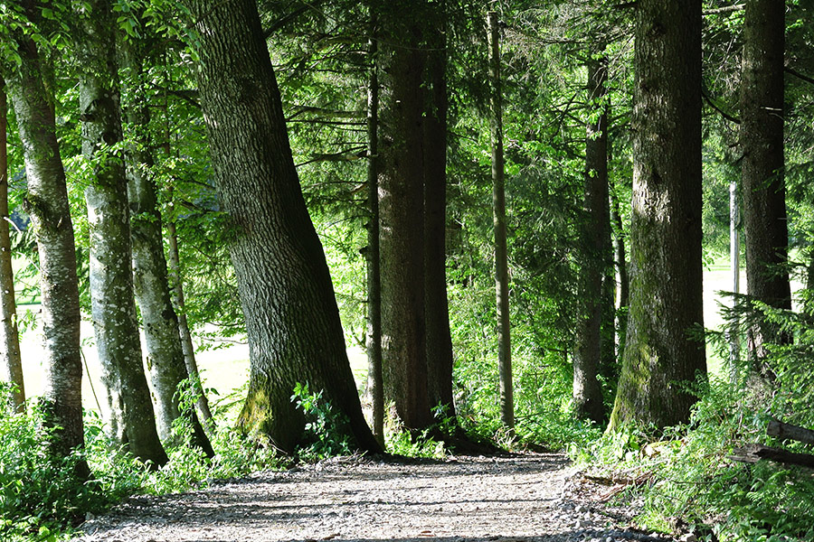 Dekoratives Bild Dekoratives Bild