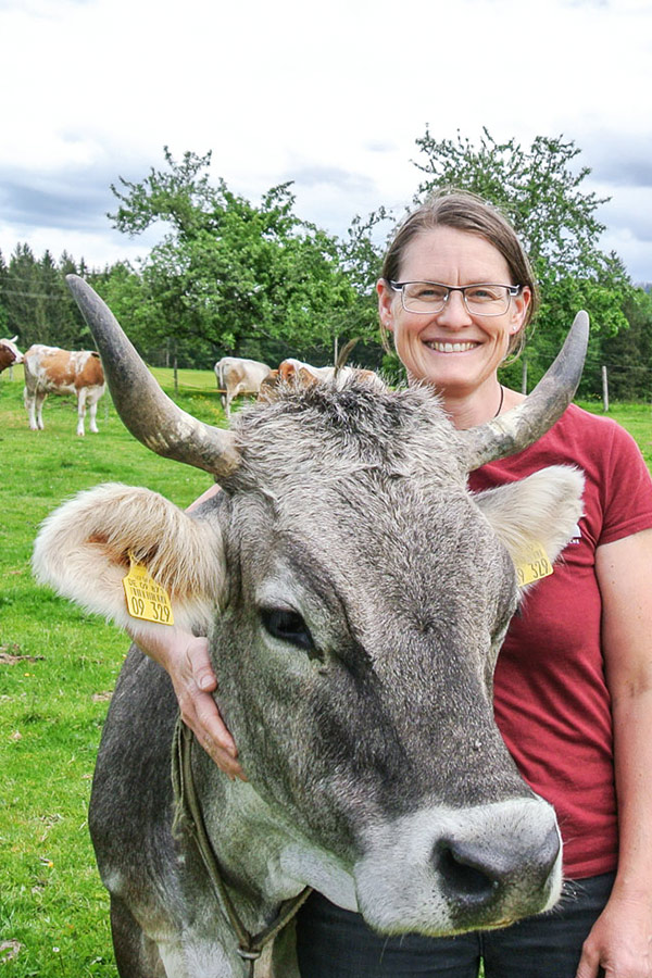 Kühe tragen Hörner – Bio-Ring Allgäu e.V.